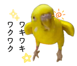 862919021