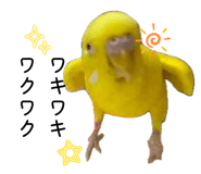 862919021