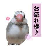 862919022