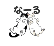 862919930