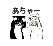 862919934
