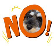 862921001