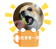 862921073