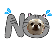 862921075