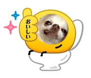 862921076