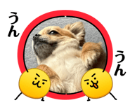 862921087