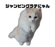 862921155