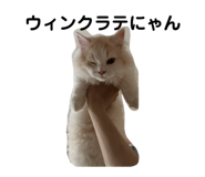 862921156