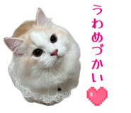 862921159