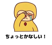 862922590