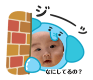 862924231