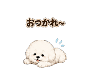 862924889