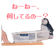 862926395