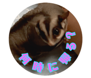 862926857