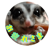 862926862