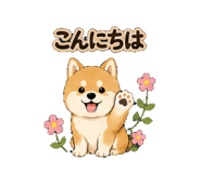 862927621
