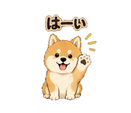 862927637