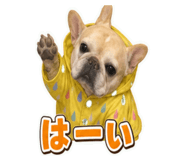 862927684