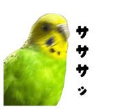 862927710