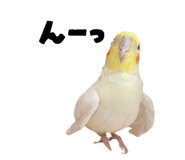 862927718