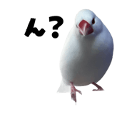 862927725