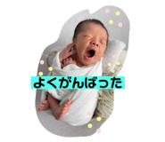 862927732