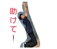 862931311