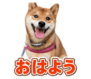 862932857