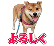 862932859
