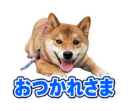 862932862