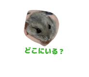 862934355