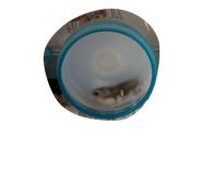 862934358