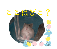 862934360