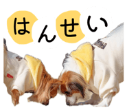 862934434