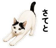 862935180