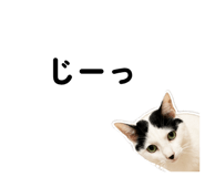 862935184