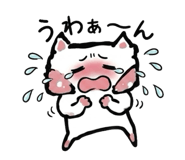 862935535