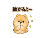 862937543