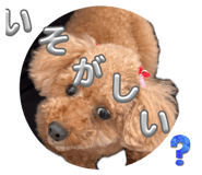862940263