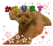862940268