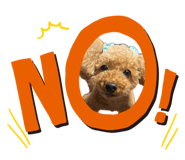 862940270