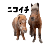 862940921