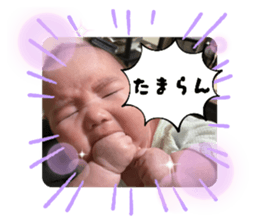 862941386