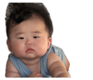 862941445
