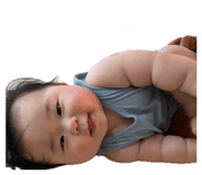 862941446