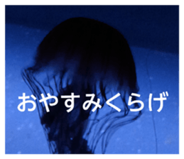 862941530