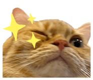 862941978