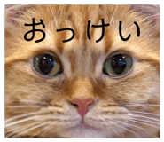 862941979