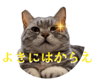 862942027