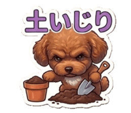 862942592